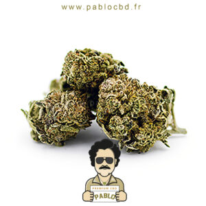 PabloCBD.fr