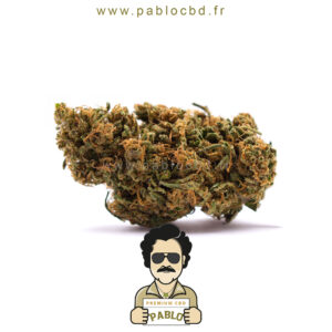 PabloCBD.fr