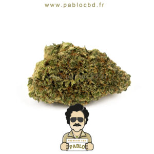 PabloCBD.fr