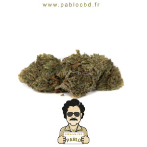 PabloCBD.fr