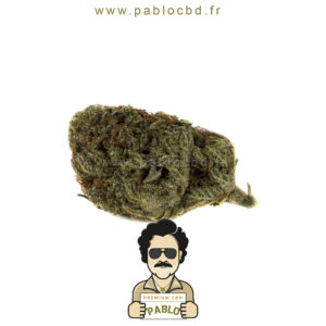 PabloCBD.fr