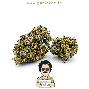 PabloCBD.fr