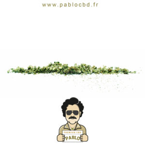 PabloCBD.fr